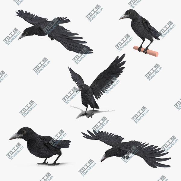 images/goods_img/20210312/Raven Animated Collection 3D model/1.jpg